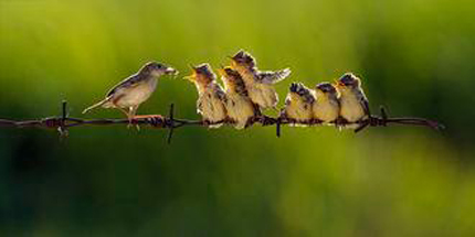 156697_461949500507008_1136896411_n