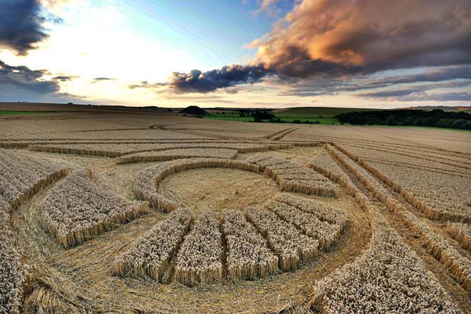 1150982_497324603684372_928127044_n