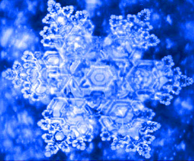 332738_296619277020553_235865975_o333