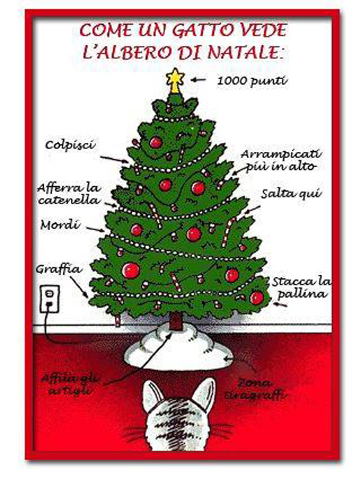 1505564_10153614947160338_1747140524_n