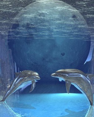 immagini_3d_343-e1331152265329