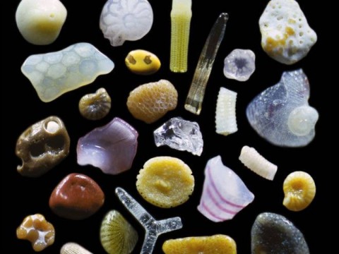 1966733_10152045028378527_1741322068_n.sabbiajpg