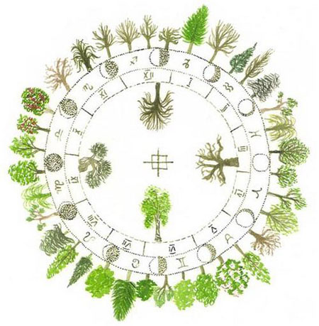 che-albero-sei-scoprilo-con-loroscopo-celtico