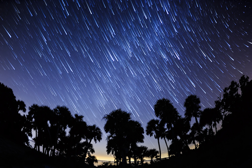 Shiloh+march+falling+stars