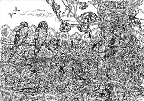 uno-dei-disegni-di-Dušan