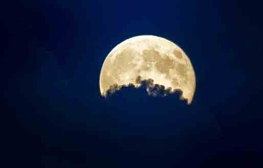 infophoto_2014-07-12_125808581_low_p0002282438-2