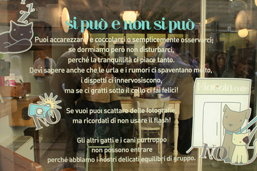 regole_cat_cafe-592x394