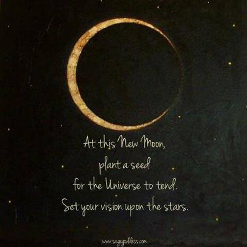 10172601_10154800848935063_3539097998911336074_n