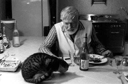 hemingway_gatto_tav