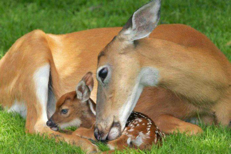 602577_497758856910908_1884053641_n