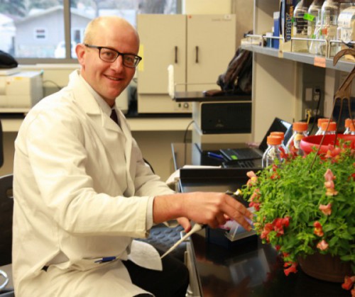 scientistnikolai-700x587