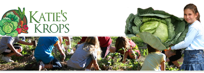 katies-krops-840x300