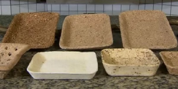 sayuri_magnabosco_vassoi_00