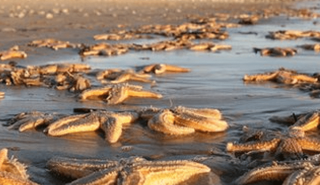 Schermata-04-2456047-alle-13.14.42