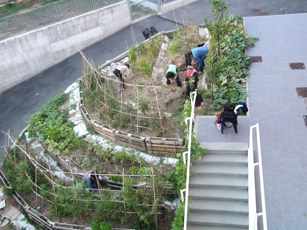 bibliorto-4fe4353b413527.70757468