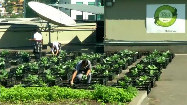 orto_sul_tetto_brasile_4