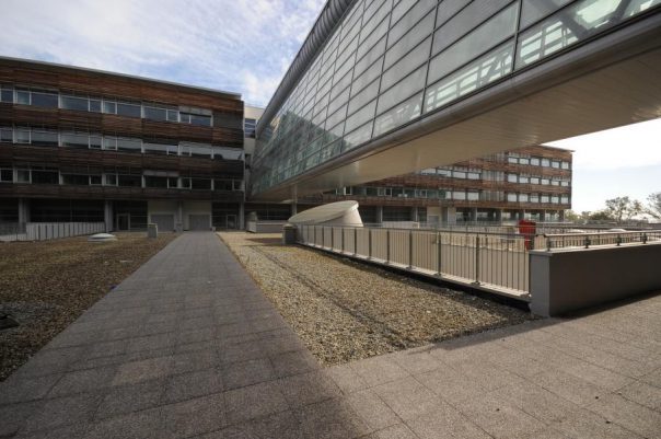 asl-e-esenzione-ticket-prorogati-i-termini-10249