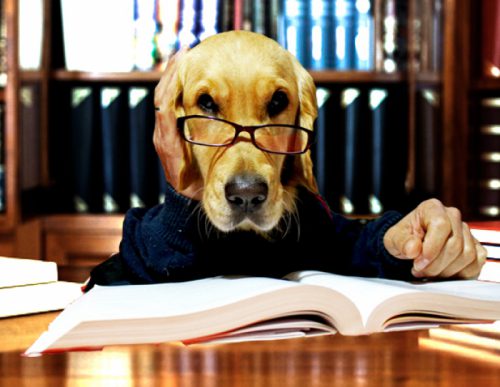 68b62085e41e8f225811766f8d5eb2bb_L