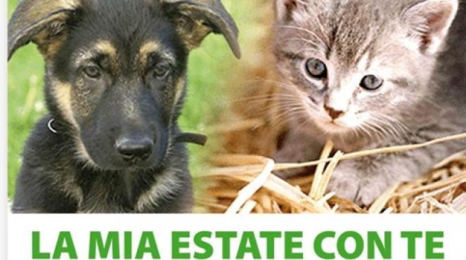2197782-locandina_campagna_contro_abbandono_animali
