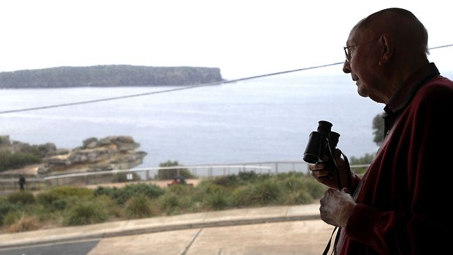 439465-don-ritchie-australian-local-hero