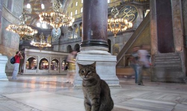 4a6db493688ce47d860ff52eda878d88_xl-600x357