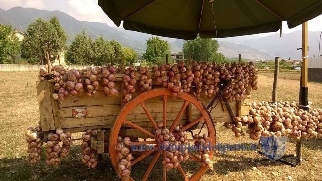 12092533_514629662051570_205478942_n