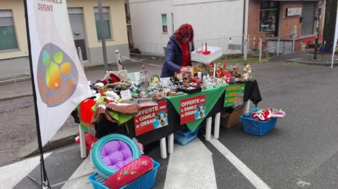 151201685-42fe3198-4d1b-416f-90f5-6e4ae18fd2ba