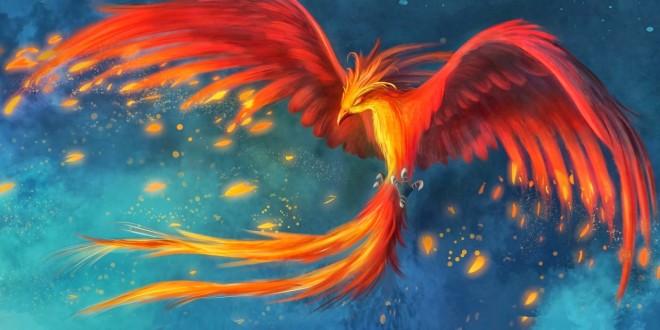 uccello-phoenix-660x330